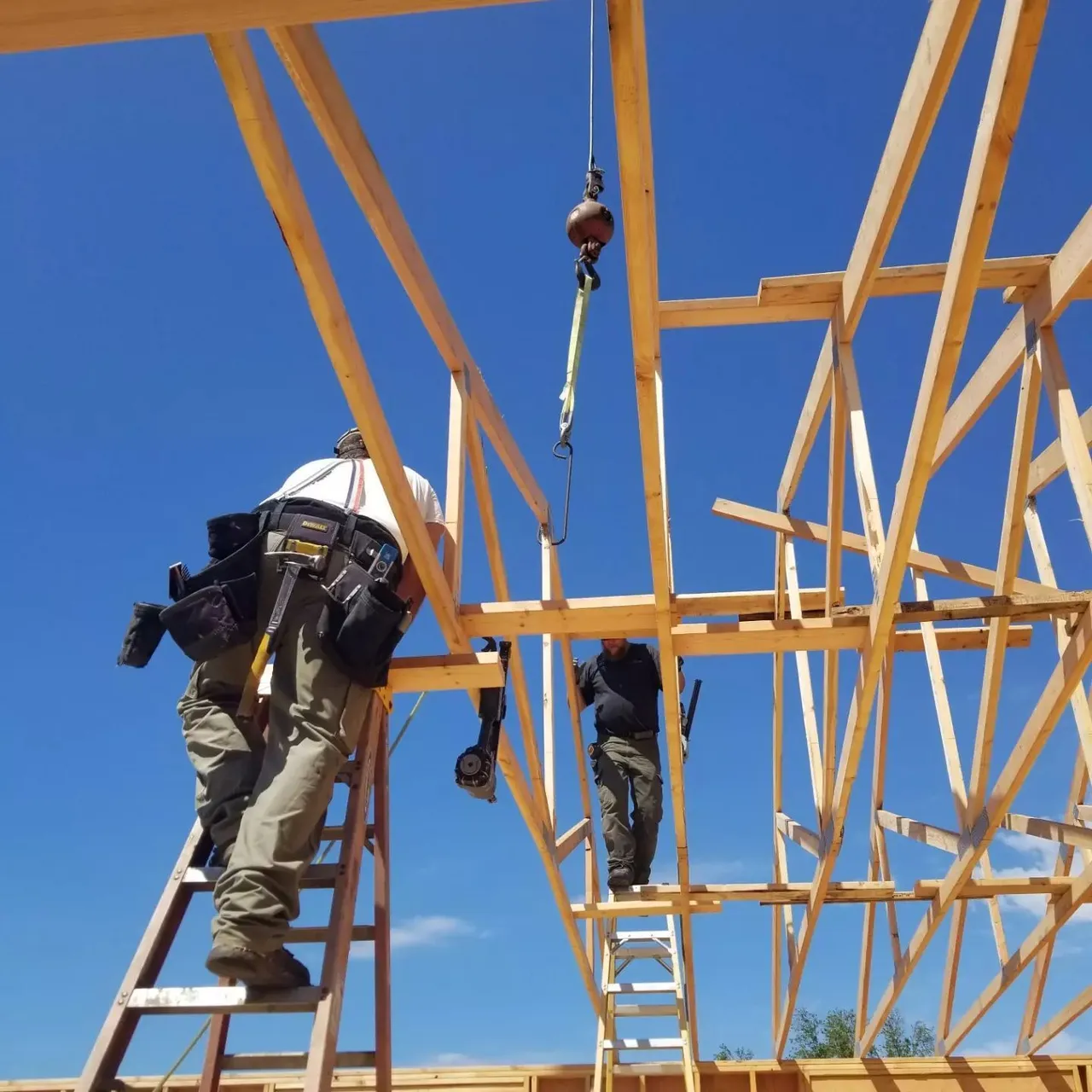 Construction workers building a wooden frame under a bright blue sky, using ladders and power tools.